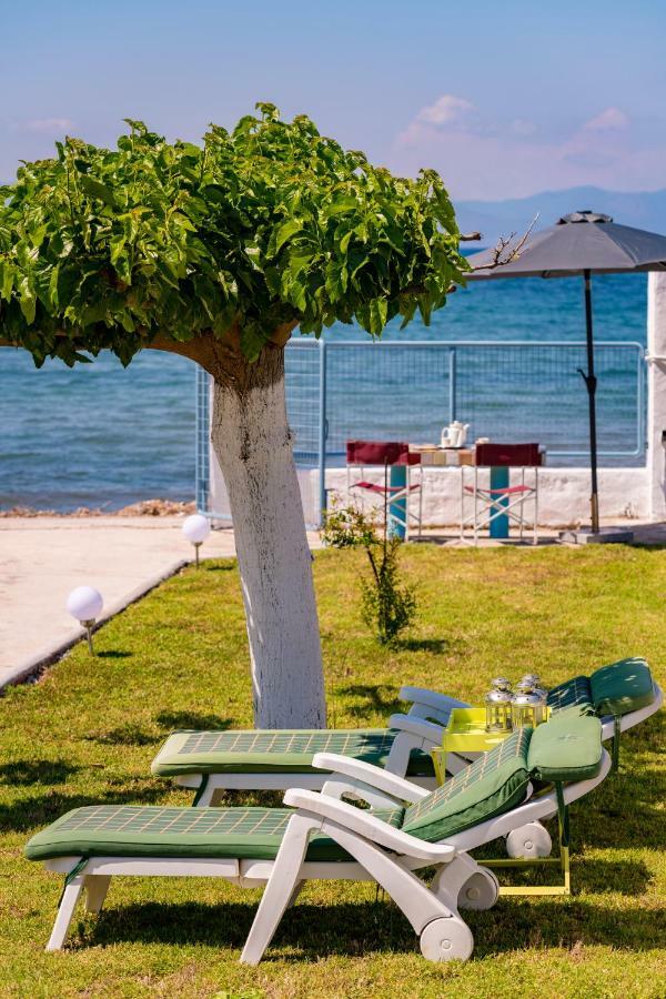 Kiko, The Coastline House Villa Kato Achaia Luaran gambar